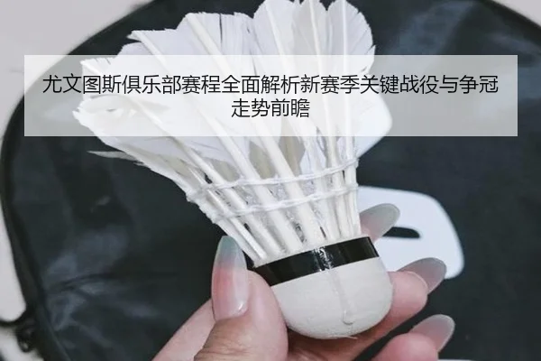 you-wen-tu-si-ju-le-bu-sai-cheng-quan-mian-jie-xi-xin-sai-ji-guan-jian-zhan-yi-yu-zheng-guan-zou-shi-qian-zhan-2-207.jpg
